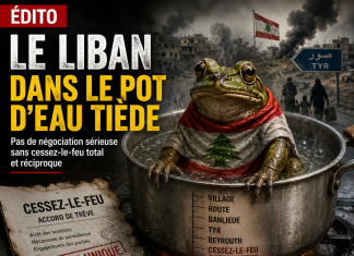 Libnanews