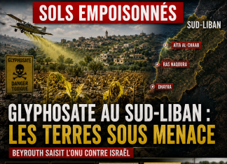 Glyphosate in South Lebanon: الأراضي المعرضة للخطر