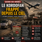 Soudan : les drones changent la guerre au Kordofan Soudan : les drones changent la guerre au Kordofan