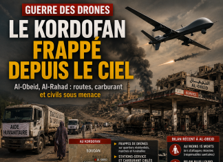Soudan : les drones changent la guerre au Kordofan