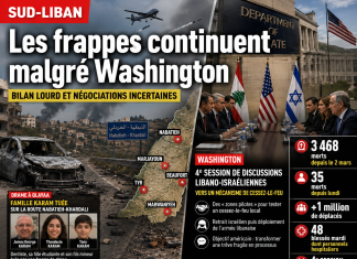 Libnanews