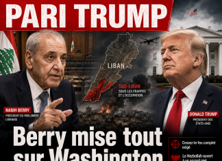 Libnanews
