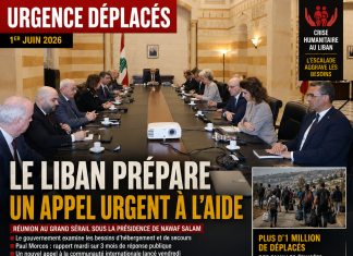 Libnanews