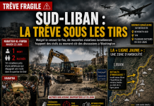 Sud-Liban : la trêve sous les tirs israéliens