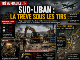 Sud-Liban : la trêve sous les tirs israéliens