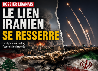Libnanews