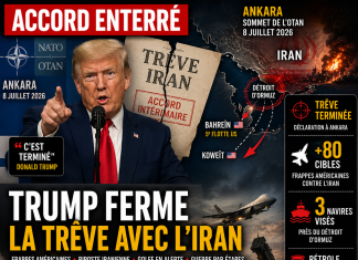 Libnanews