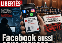 Loi médias : les internautes libanais aussi concernés