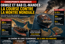 Ormuz and Bab el-Mandeb, the race against the clock