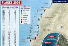 Sous les vagues : état des plages libanaises en 2026