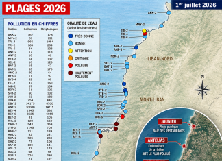 Sous les vagues : état des plages libanaises en 2026 Libnanews