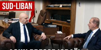 Cessez-le-feu au Liban : Aoun presse Israël