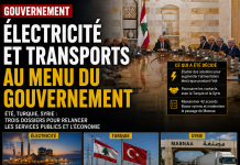 Electricity and transport on the government menu