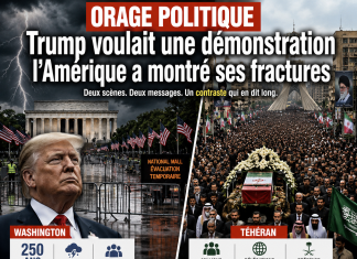 Libnanews