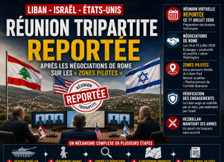 Libnanews