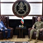Sud-Liban : Joumblatt appelle à soutenir Haykal