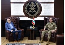 Sud-Liban : Joumblatt appelle à soutenir Haykal