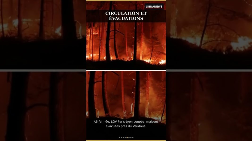 🔥 Incendie d’ampleur exceptionnelle dans la forêt de Fontainebleau, à 60 km de Paris.
