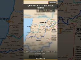 Les zones pilotes au Sud du Liban
