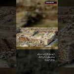 🏛️ جبيل ومصر القديمة: علاقة عمرها 4000 سنة 🇱🇧