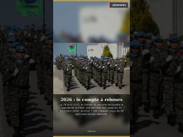 🚨 LA FINUL, C'EST FINI ?