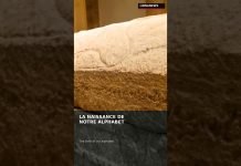 ⚰️ Le sarcophage d’Ahiram, ancêtre de notre alphabet ⚰️ Le sarcophage d'Ahiram, ancêtre de notre alphabet