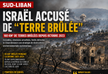 Sud-Liban : Israël accusé de « terre brûlée »