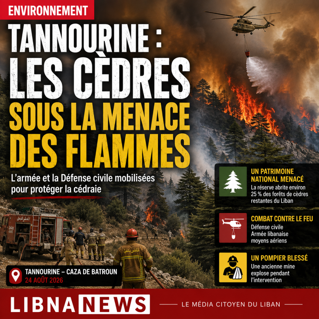 Tannourin: Zedern durch Feuer bedroht