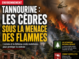 Libnanews