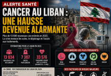 Cancer in Lebanon: an alarming rise