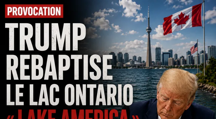 Libnanews