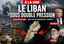 Libnanews