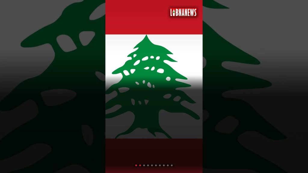 Libnanews