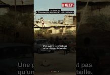 💰 Comment la guerre du Liban a créé ses propres milliardaires
