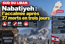 Nabatiyeh : l’accalmie après 27 morts en trois jours