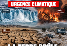 BRUCOLO TERRA E UMANITÀ Libnanews