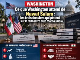 Libnanews