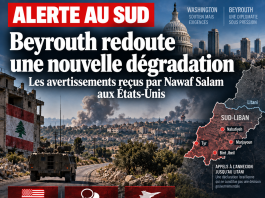 Libnanews