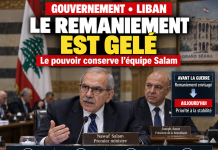 Libnanews