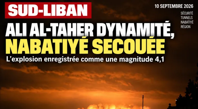 Libnanews