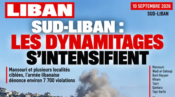 Libnanews