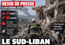 Libnanews