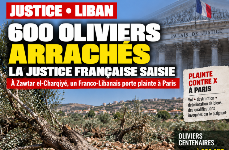 Liban : plainte à Paris pour 600 oliviers arrachés