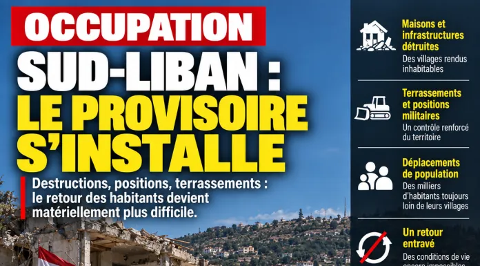 Libnanews