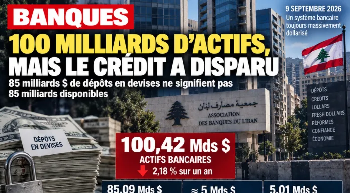 Libnanews