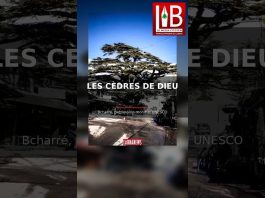 ليبنانيوز