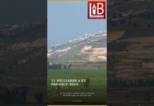 🏚️ Sud-Liban : 11 milliards $ nécessaires, 89 millions $ prévus