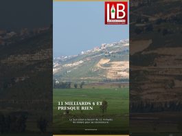 جنوب لبنان: 11 بليون دولار مطلوبة، و 89 مليون دولار مقررة ليبنانيوز