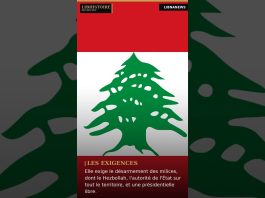 🇱🇧 2 septembre 2004 : l’ONU vote contre la Syrie