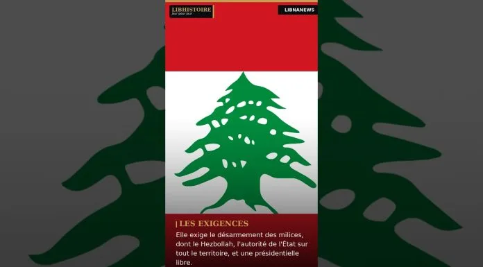 Libnanews